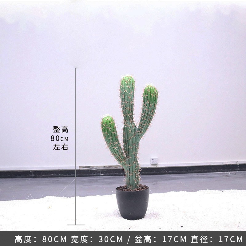 Cactus mexicain - 80CM (livré avec socle noir)