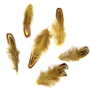 Plumes de <span class=keywords><strong>cou</strong></span> d'amande en gros, plumes de queue de poulet sauvage nettoyées en vrac, artisanat, plumes de carnaval - Product Image 3