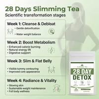 Thé Détox Minceur 28 Jours Marque Blanche – Infusion Naturelle Amincissante pour Ventre Plat, Brûle-Graisse Abdominale et Nettoyage du Côlon