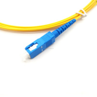 Cable de Fibra Óptica SC/UPC de Grado Profesional a Precio de Fábrica, SC UPC, SX SM, Cable de Conexión de Fibra para FTTH