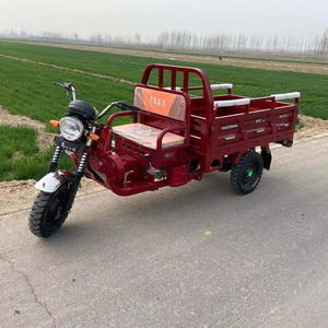 2026 Contenitore di Stoccaggio Grande, Vendita Diretta dalla Fabbrica, Produttore di Tricicli Elettrici Domestici e Veicoli Agricoli per Trasporto Merci - Product Image 2