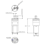 DC 3V 6V Mini pompe liquide haute pression 200-500ml Micro distributeur d'eau pompe à membrane d'eau propre avec personnalisation OEM