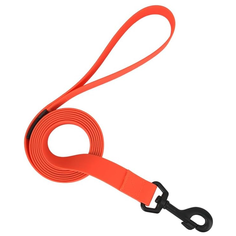 สีส้มนีออน