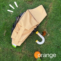 Fruit Grafische Omgekeerde Opvouwbare Paraplu Gebogen Handvat Winddicht Draagbare Zonneparasol Zwarte Coating Op Maat Bedrukte Paraplu