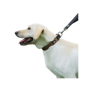 Adjustable Breakaway Nylon Modern Eco-Friendly <strong>Dog</strong> <strong>Collar</strong> Reflective Solid <strong>Color</strong> Large <strong>Dogs</strong> Anti-Pull Walking Leash Attachment - Product Image 1