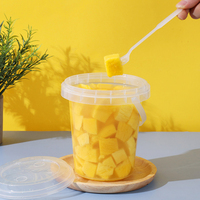 Transparante dranken- en fruitemmer met deksel en handvat, van PP-materiaal, voor bier