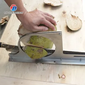 Associé à une machine à éplucher la noix de coco tendre et à perforer la noix de coco verte tout en acier inoxydable couteau à guillotine verte de noix de coco