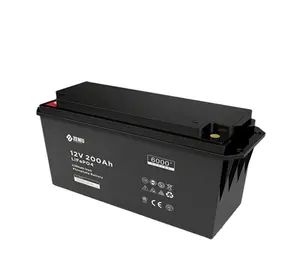 Wij En Europa Meest Populaire 12V Lifepo4 Batterij Lifepo4 12V 100ah Celcyclus Lithium-Ion Batterijen