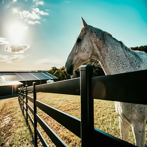 Panneau de clôture de paddock de cheval de ferme en PVC de 4x8ft Clôture d'allée noire à 3 et 4 rails avec technique d'extrusion pour les allées de ranchs - Product Image 2