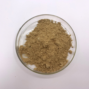 Polvo de extracto de raíz de maca de grado alimenticio de Venta caliente tipo de extracto de hierbas empaquetado en tambor - Product Image 6