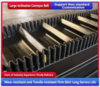Banda Transportadora Industrial Personalizada de Alta Resistencia Thinkroll - Modelos de Caucho Duradero EP100-EP400 de 400-1800 mm de Ancho, Impermeable y Resistente al Aceite