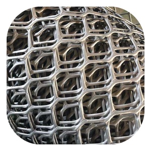 cheap price Diamond Plastic Mesh/Extruded Plastic Mesh/Netting/Plastic Plain Net