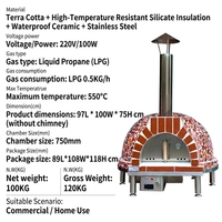 Four à pizza de grande taille pour extérieur, en acier inoxydable, équipement de cuisson, four à pizza commercial au gaz, prêt à être expédié, pour la cuisson du pain