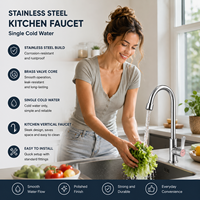 Robinet élégant monocommande pour lavabo, finition chromée, en acier inoxydable, sans plomb, pour eau froide