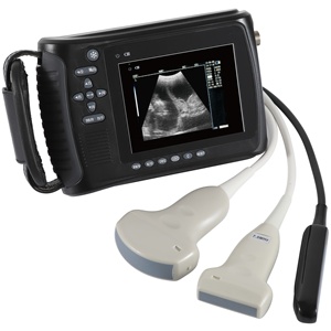Equipo de Ultrasonido Veterinario Portátil y Económico DM, Escáner de Diagnóstico por Ultrasonido para Animales - Product Image 2