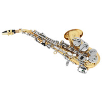 Bb Curved Soprano Saxophone Gold Lacquer Body Nickel Plated Keys Adjustable Professional Woodwind Musical Instrument for