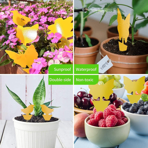 40-Pack 5-şekiller sarı süper yapışkan tuzaklar-mantar Gnat, meyve sinek uçan böcek yakalayıcı toksik olmayan, kokusuz, Pet & çocuk dostu - Product Image 2