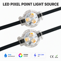 Contoh Gratis Lampu Led Pengontrol Aplikasi 12V Kecerahan Tinggi Lampu Sorot Permanen Natal