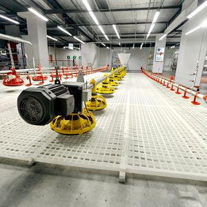 Nuovo Sistema di Allevamento Avicolo all'Ingrosso, Attrezzature per Allevamento di Polli da Carne, Forniture per Pollame, Strumenti Agricoli, Mangiatoie per Animali - Product Image 2