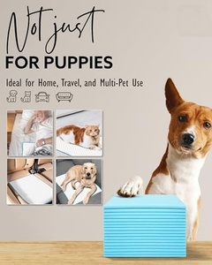 Nouveau design 2026, Tapis d'apprentissage jetables super doux pour chiots et chiens, pour l'entraînement à la propreté, personnalisable, Fabrication OEM - Product Image 2