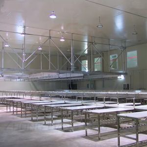 Linea Completa di Attrezzature Moderne ZBHT per Macellazione, Tavolo di Lavorazione e Taglio per Bovini, Ovini e Suini <span class=keywords><strong>in</strong></span> Mattatoio - Product Image 6