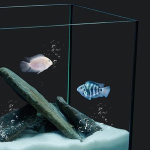 Acquario da Tavolo in Vetro HD Silenzioso per Soggiorno, Novità 2024, Piccolo Acquario per Pesci Rossi con Curvatura a Caldo - Product Image 6