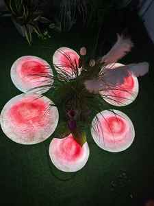 Lampe en résine en forme de champignon féerique, motif lumineux LED pour la décoration de jardins, de places publiques et d'espaces extérieurs - Product Image 1