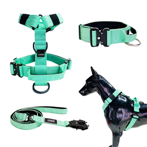 Ensemble de laisse et collier pour chien en nylon personnalisé, rembourré, équipement de promenade pour animaux de compagnie, fermeture à boucle réglable pour chiens de petite et moyenne taille - Product Image 1