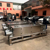 Automatische Dubbele Schroefpers Motor 380V 3kW Commercieel Gebruik Fruit- en Groenteverwerkingsinstallatie voor Geperste Radijs Tian Zhong