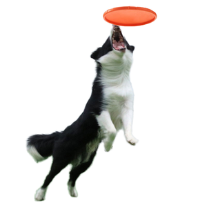Cepillo <span class=keywords><strong>de</strong></span> Dientes <span class=keywords><strong>de</strong></span> Goma para Perros, Duradero, para Limpieza Dental, Texturizado, Interactivo, para Cachorros y Perros Pequeños y Medianos, con Logotipo Personalizado - Product Image 1