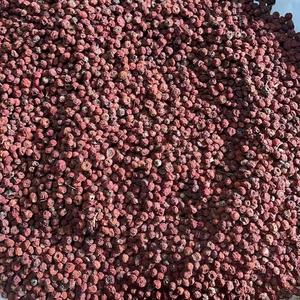 Fruta <span class=keywords><strong>Taxus</strong></span> seca Premium en Bolsa-Producto alimenticio y bebida - Product Image 1