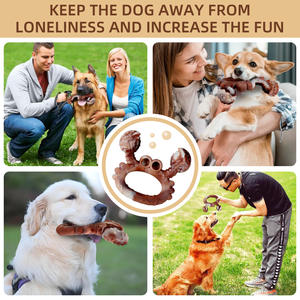 מזון עמיד גומי טבעי כיתה גומי טבעי קשה לחיות מחמד ecofriendly כלב ללעוס צדף עבור כלבים אגרסיבי - Product Image 6