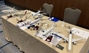 <span class=keywords><strong>เครื่องบิน</strong></span>จำลอง 787-10 ดรีมไลเนอร์ ทำจากเรซิ่น ขนาด 1:100 สำหรับขาย - Product Image 3