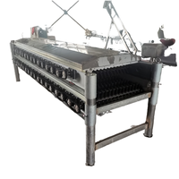 Machine à plumer la volaille horizontale en acier inoxydable, équipement automatique de dépouillement pour poulets, canards et oies, pour ligne d'abattage