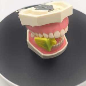 Coussinet de mastication dentaire amélioré, support intra-oral, protège-langue coloré, diffuseur buccal, accessoires dentaires - Product Image 5