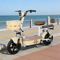 Vélo Électrique 350W à Vente Directe Usine MTBGO, Vélo Urbain Électronique Domestique, Trottinette, Moto pour Adultes