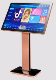 Sistema Profesional de Karaoke para el Hogar con Micrófono Inalámbrico - Product Image 2