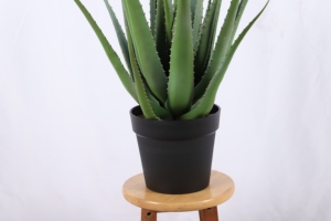 Decoración <span class=keywords><strong>de</strong></span> escritorio <span class=keywords><strong>de</strong></span> oficina Bonsai Topical Evergreen Protección UV Plantas artificiales <span class=keywords><strong>de</strong></span> aloe con <span class=keywords><strong>maceta</strong></span> <span class=keywords><strong>de</strong></span> plástico - Product Image 4