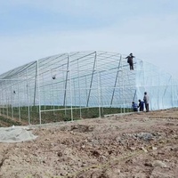 Invernadero Grande con Estructura Metálica para Horticultura, Invernadero Tropical con Cubierta de Láminas de Policarbonato, Mejor Precio