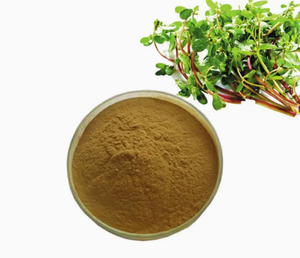 健康化粧品用にカスタマイズされた天然パースレーンハーブエキスパウダーポルチュラカオレラセアLエキスパウダー - Product Image 3