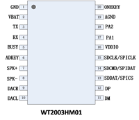 Module d'enregistrement vocal WT2003HM01 prend en charge le module vocal de haute qualité SPI Flash et U Disk