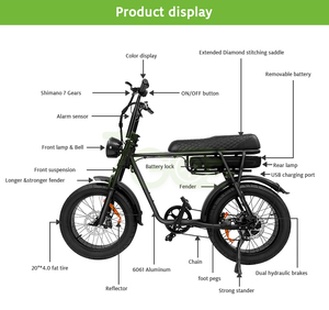 EB2 EB4 合金铝制宽胎电动越野车 20 英寸 48V 18.2Ah 锂电池 500W 7 速齿轮 液压刹车 欧盟标准 - Product Image 5