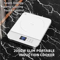 Nouveau brûleur unique de cuisinière à induction électrique Slim Portable 2000W avec affichage couleur pour le ménage et l'hôtel
