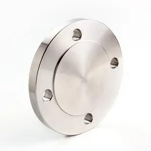 Experienced Manufacturer High Quality Customize Size Available Pressure Vessel Flanges Forging Stainless Steel Flange