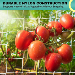 Filet de treillis moderne en PVC pour pois, haricots, tomates, concombres, poivrons, aubergines, courgettes, citrouilles - Utilisation en jardinage - Product Image 3
