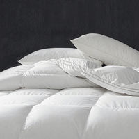 Couettes en duvet de plumes d'oie ultra-douces, respirantes, pour toutes les saisons, literie d'hôtel, couettes extra moelleuses, insert de couette blanc