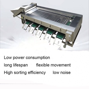 Machine de tri industrielle 1-3T/H pour fruits de <span class=keywords><strong>cactus</strong></span>/avocats, machine de lavage de légumes, ligne de lavage et de séchage de fruits et légumes - Product Image 4