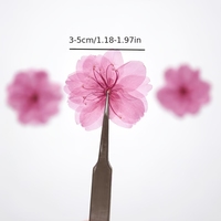 Fleurs de cerisier japonaises séchées de qualité supérieure, qualité alimentaire, pour la décoration de pâtisserie et les confettis de mariage, stock en vrac