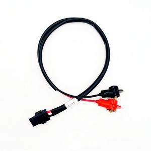 Кабель-жгут для аккумулятора на заказ с 2-контактным разъемом, красно-черный, с клеммами, силовой провод - Product Image 4