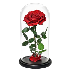 אמזון מכירה לוהטת סיטונאי אריזת מתנה השתמר אדום ורדים זכוכית כיפת לחתונה ולנטין של יום